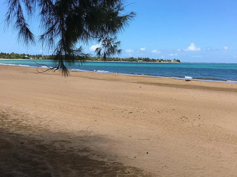 Sandy Beach
