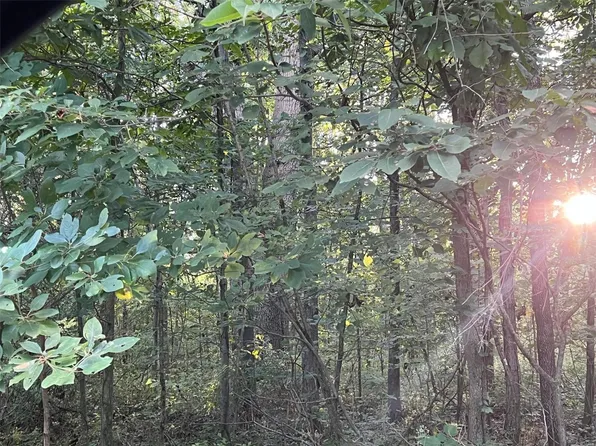 0 N 2050th St, Saint Elmo, IL 62458