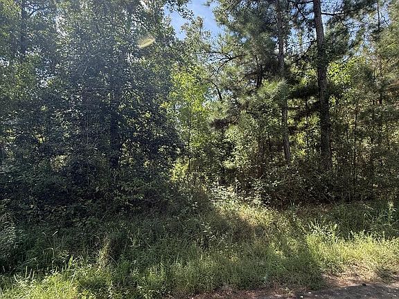 2nd image of R32312 Sandy Creek Rd