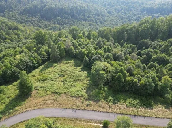 18 River Ridge Ln, Mount Nebo, WV 26679