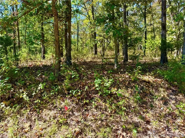 Off Saint Saveur Dr, Edwards, MO 65326