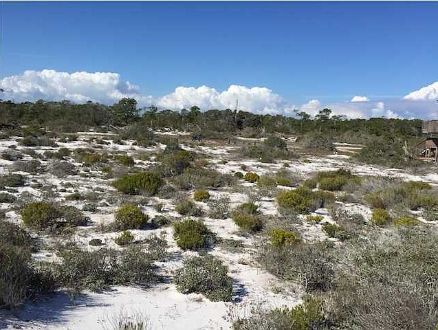 1st image of 748 Gulf Shore Dr