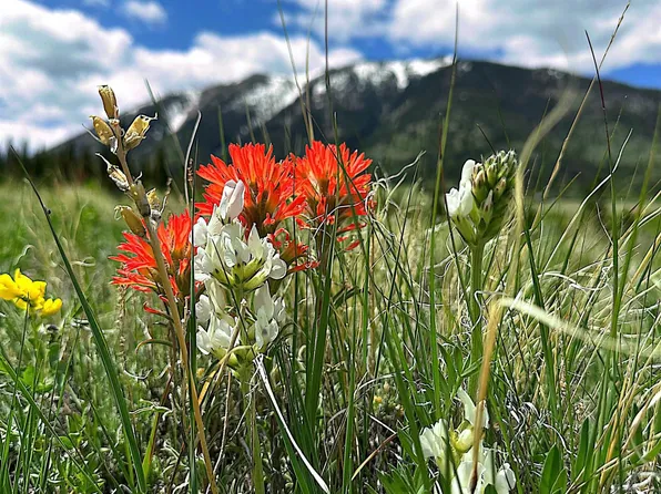 29 Aspen St, Elk Mountain, WY 82324