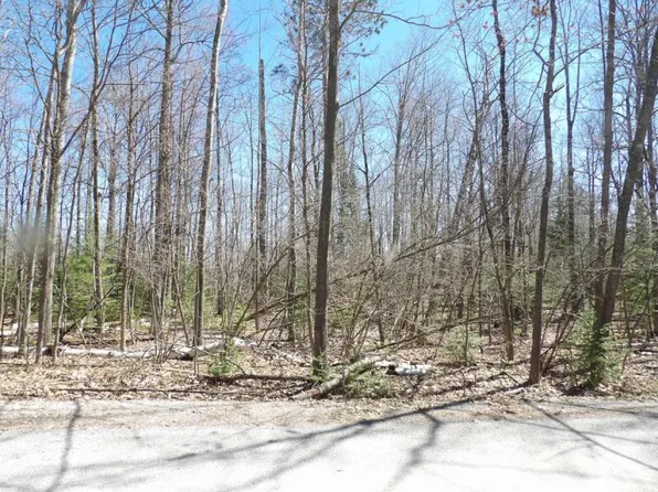 Chippewa Drive Lots 61 #&-62, Glennie, MI 48737