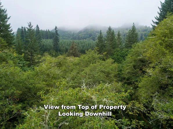 Tl 1200 Crystal Creek Loop, Toledo, OR 97391