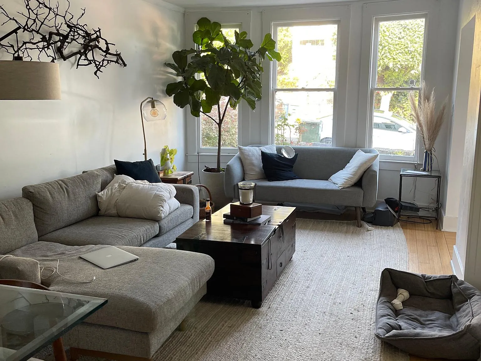 3 bed, 900 sqft, $5,995 — Photo 4