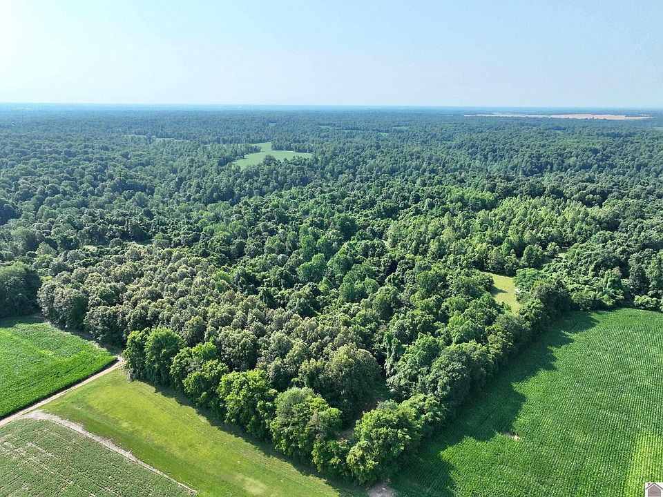 0 County Road 1320, Bardwell, KY 42023 Zillow