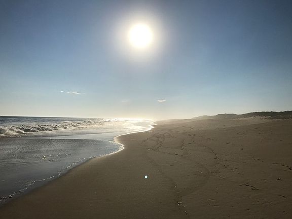 Napeague State Park East