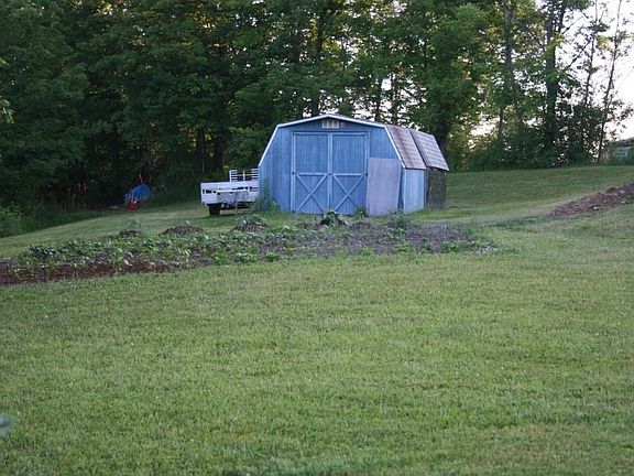 Garden and Shed