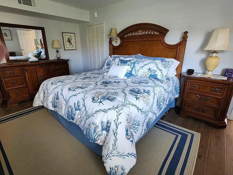 Master bedroom with king size bed and walk-in closet.