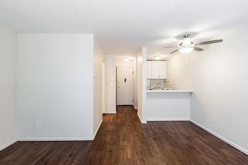 Floor plan 203