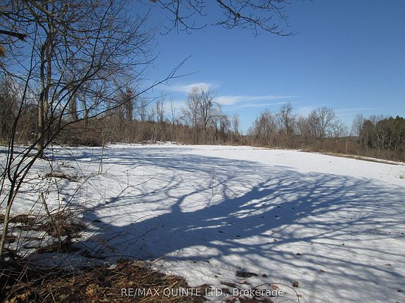 3rd image of 251 Christiani Rd