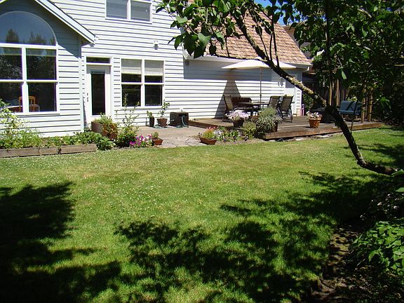 Backyard 1