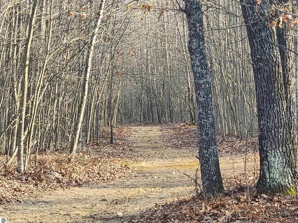 Kirche In The Woods Dr, Spruce, MI 48762