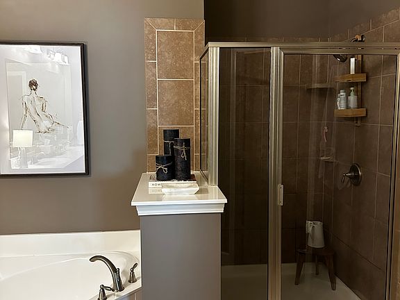 Master Bathroom Shower
