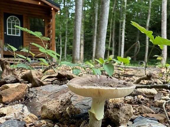 3rd image of 1045 Jones Mill Rd