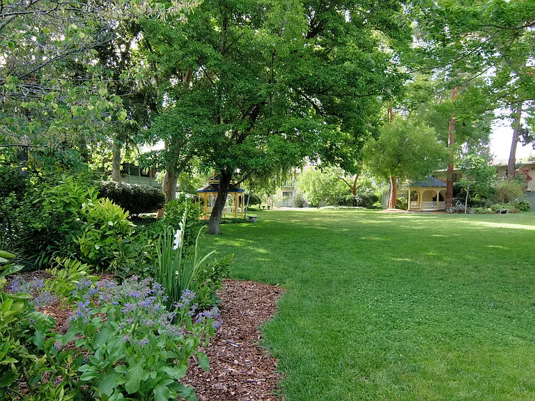 Views of the central grassy courtyard