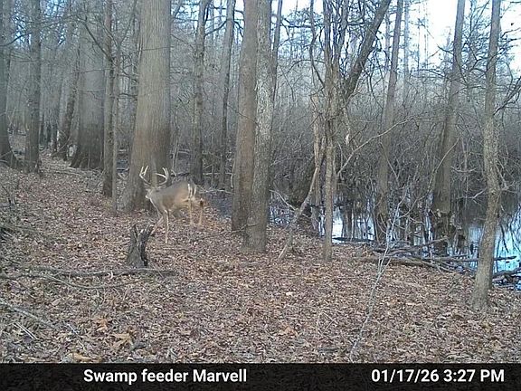 3rd image of 0 Loop Rd Lot Wp001