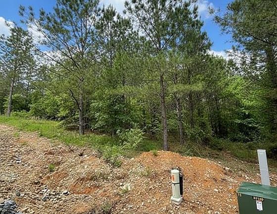 2nd image of 668 Timber Creek Trl