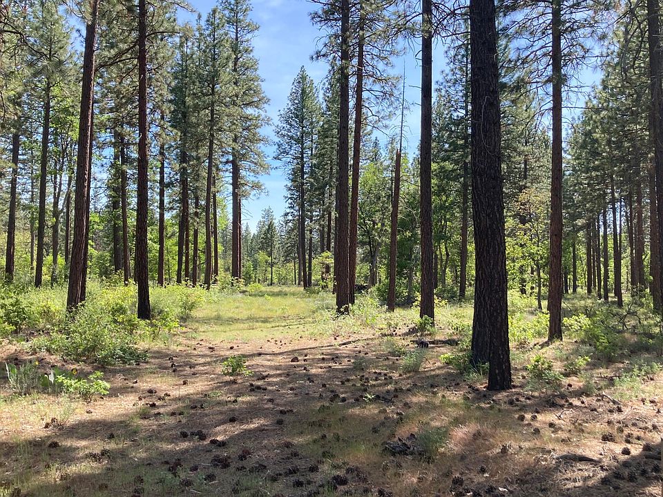 1st image of LOT 24 Big Lake Rd