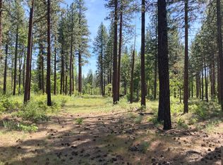 LOT 24 Big Lake Rd, McArthur, CA 96056