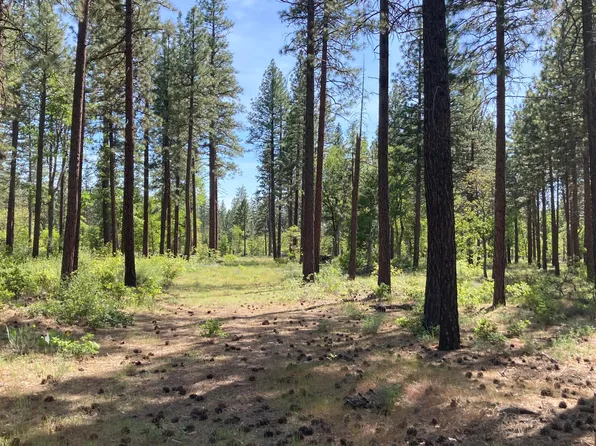 LOT 24 Big Lake Rd, McArthur, CA 96056