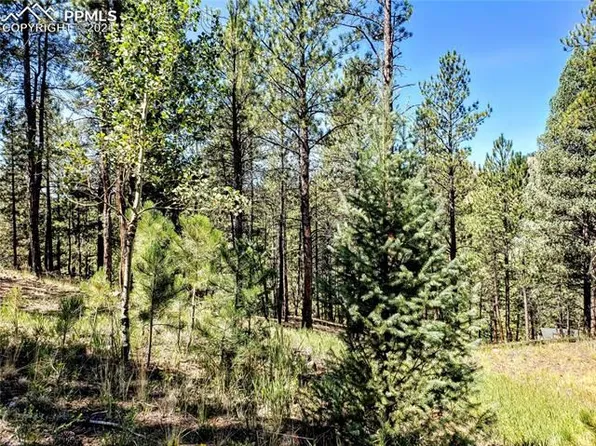 15126 N Pine Lake Pl, Woodland Park, CO 80863