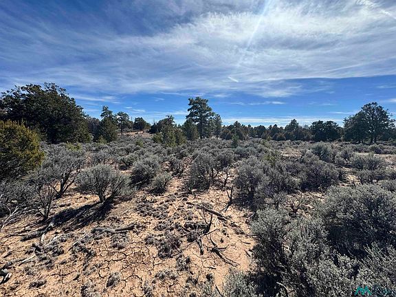 3rd image of 51 Panther Rd