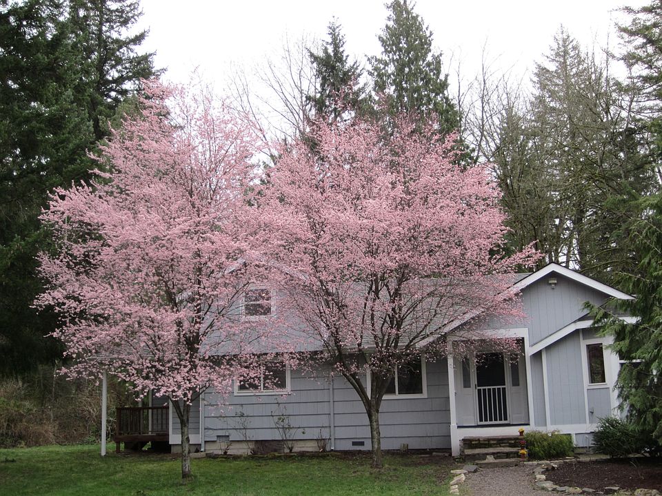 1st image of 21630 NE 133rd St