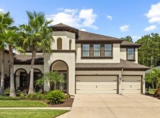 8414 Eagle Brook Dr, Land O Lakes, FL 34638
