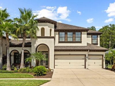 8414 Eagle Brook Dr, Land O Lakes, FL, 34638