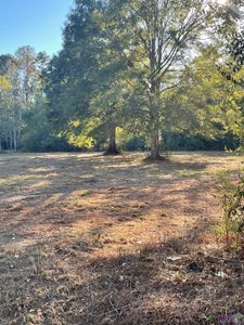 LOT 14 Blue Jay Ln, Denham Springs, LA, 70726