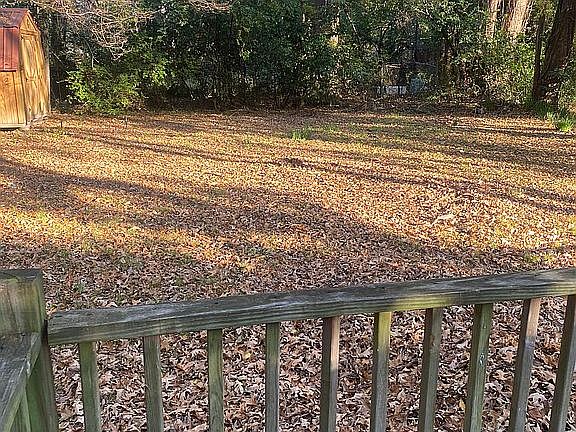 backyard with shed in corner