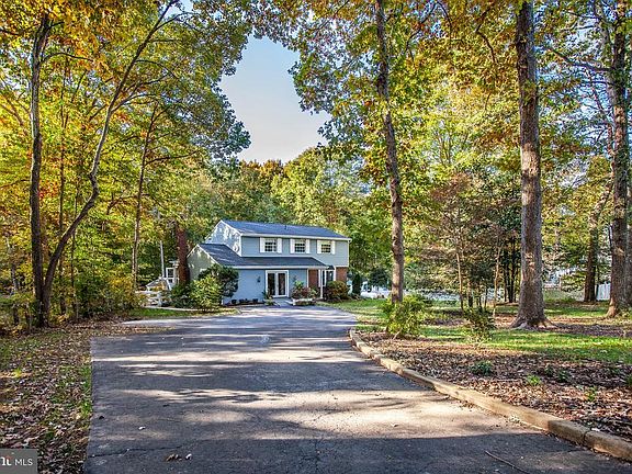 Nestled Among A Canopy Of Trees!