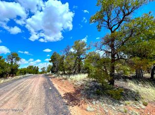 24B Preston Way, Pinedale, AZ 85934