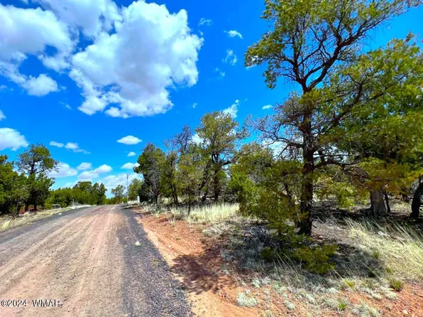 24B Preston Way, Pinedale, AZ 85934