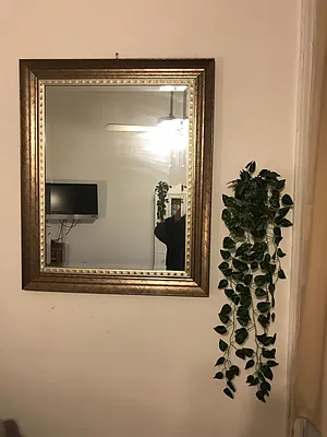 Rented by PLUSH REALTY Inc | media 12