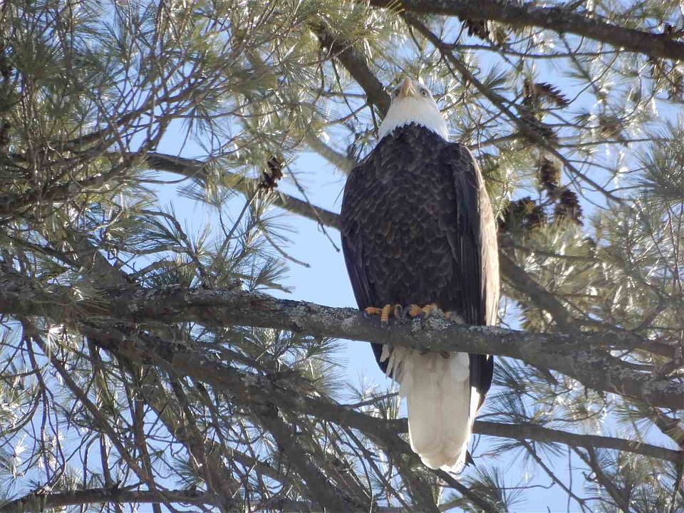 0 Vershire Center Road, Chelsea, VT 05038 Zillow