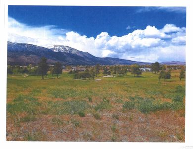 7360 Franktown Rd, Washoe Valley, NV, 89704