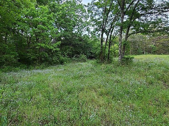 Food plot for deer.