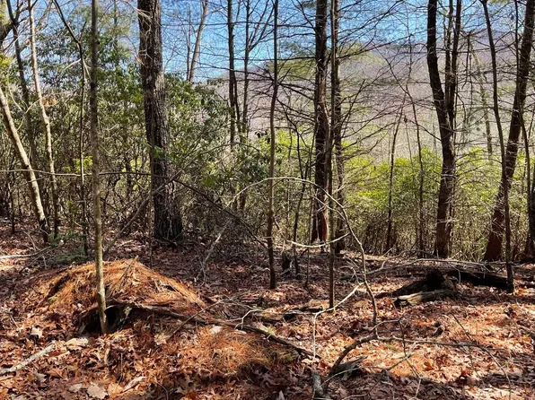 0 Chesada Ln, Blairsville, GA 30512