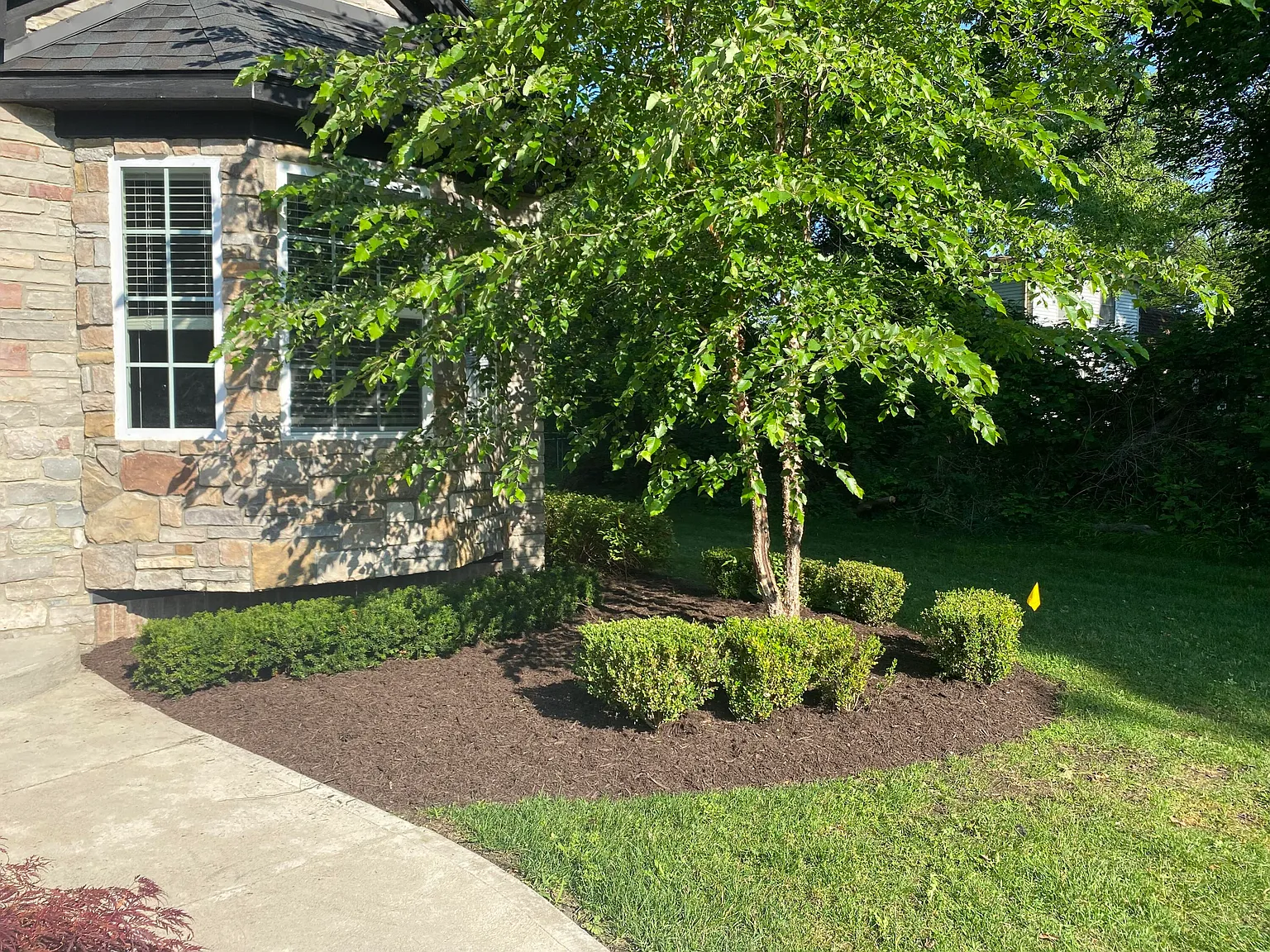 3 bed, 2.0 bath, 1310 sqft, $2,975 — Photo 3