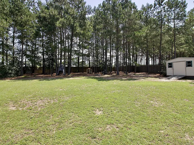 197 Caswell Pines Ln — Photo 6