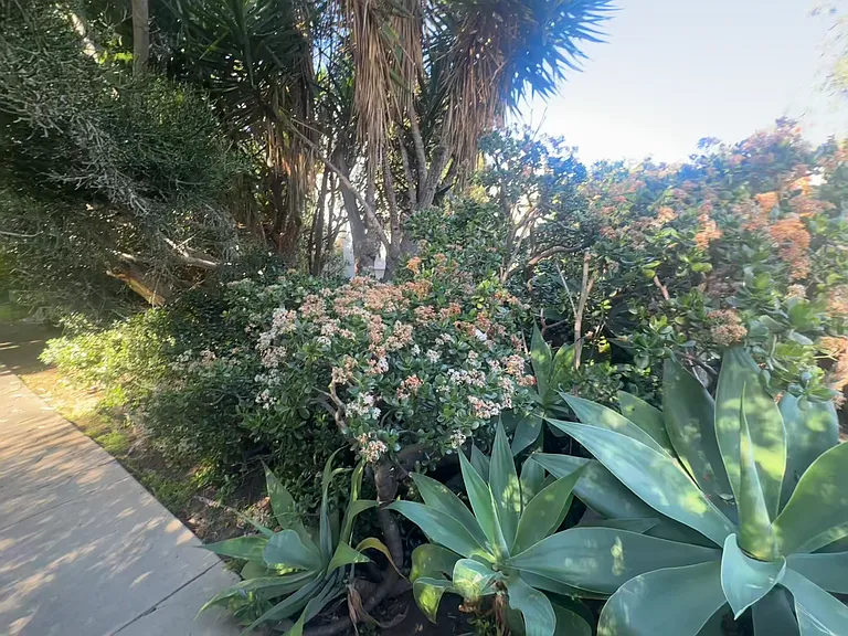 1433 Centinela Ave #B — Photo 14