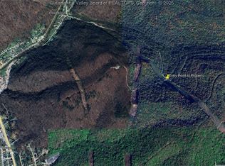 0 Frozen Branch Rd, Cedar Grove, WV 25039