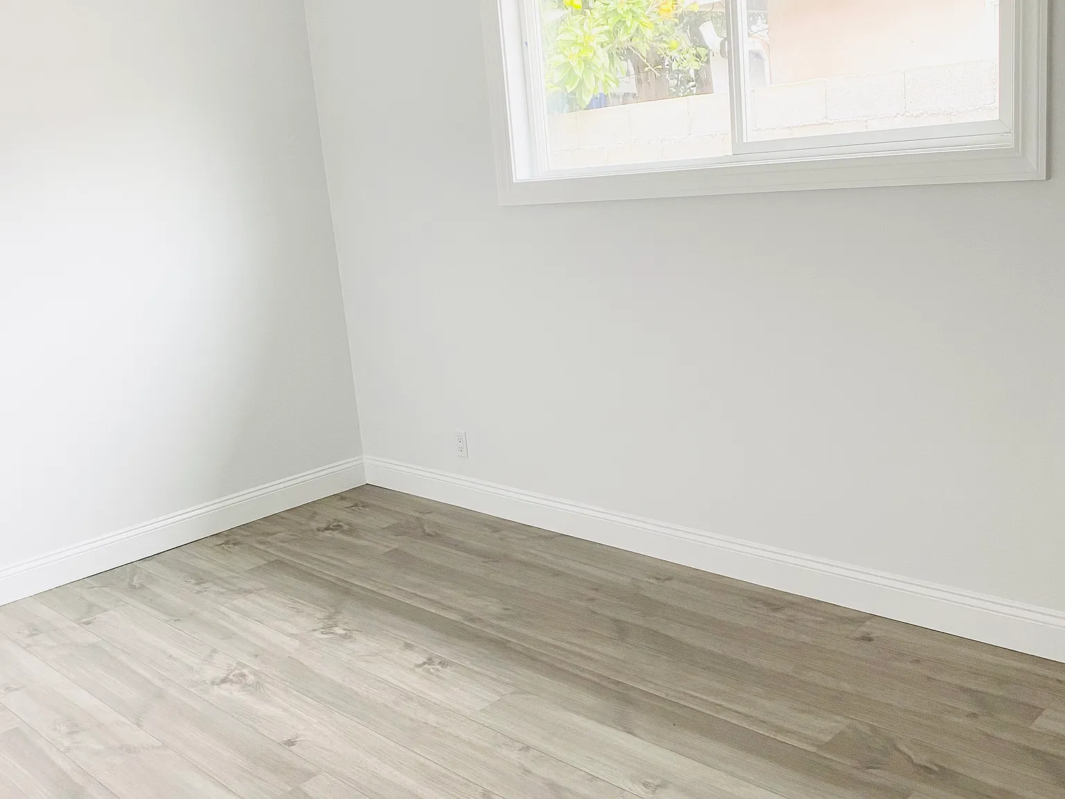 2 bed, 800 sqft, $3,150 — Photo 3