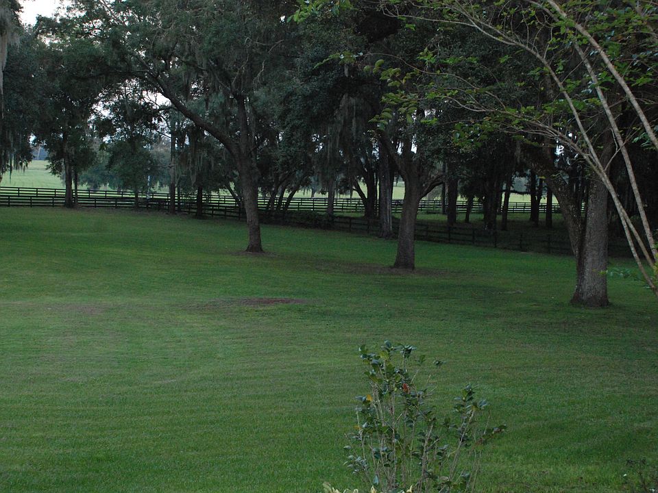  1view from porch