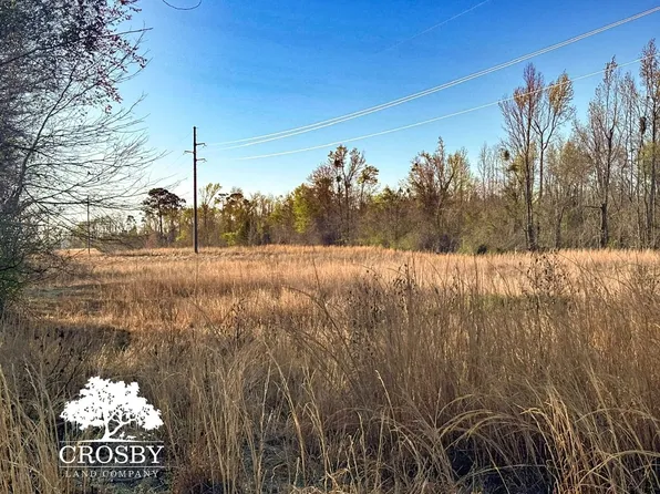 Railroad Ave E, Tarrytown, GA 30470