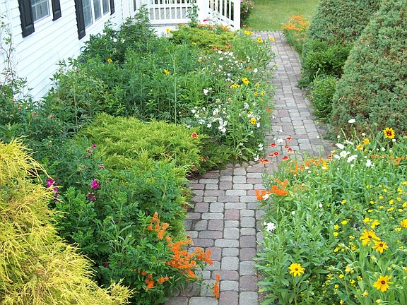Outrageous perennial garden