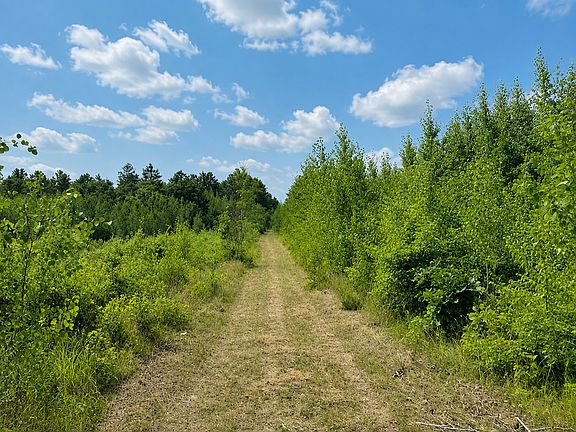 4th image of Chimney Rd